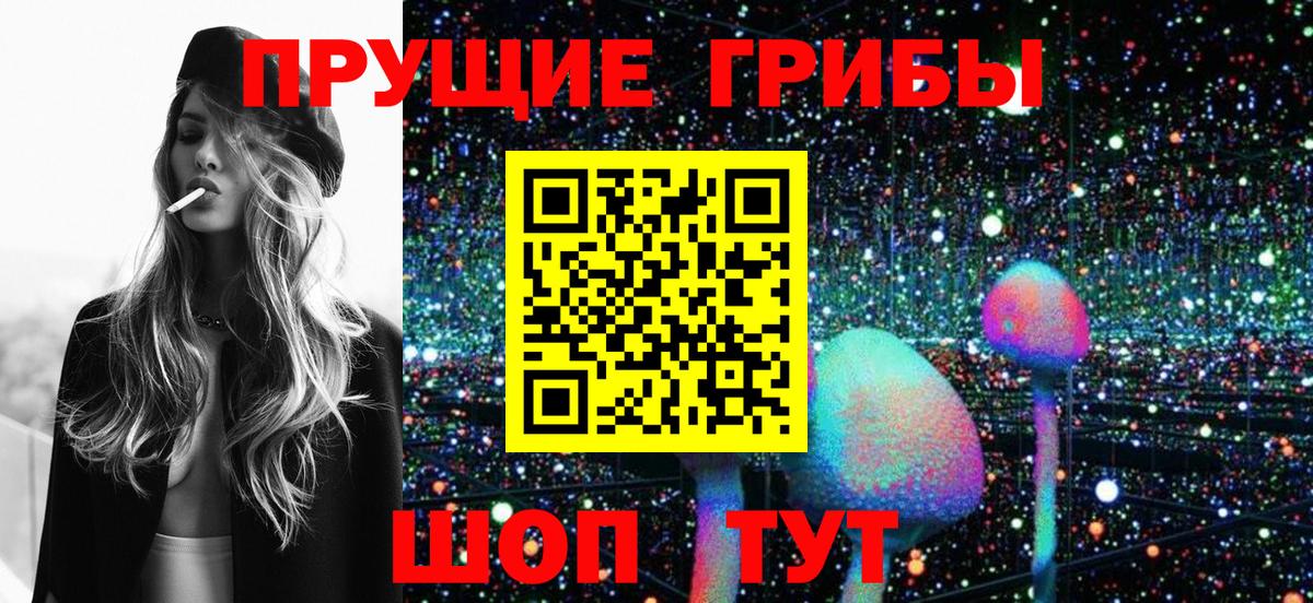 Псилоцибиновые грибы Psilocybe Москва